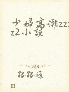 少妇高潮zzzz2小说