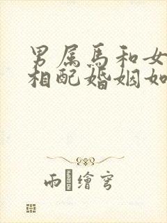 男属马和女属狗相配婚姻如何