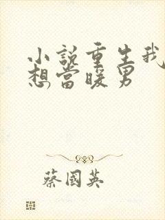 小说重生我真没想当暖男