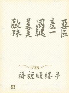 欧美国产亚洲丝袜美腿一区