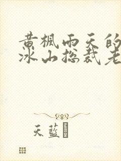 黄枫雨天的我的冰山总裁老婆