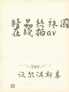 精品丝袜国产自在线拍av