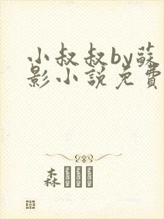 小叔叔by苏九影小说免费阅读