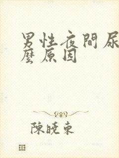 男性夜间尿频什么原因