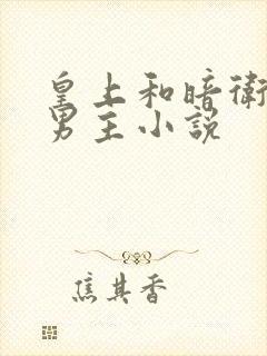 皇上和暗卫的双男主小说