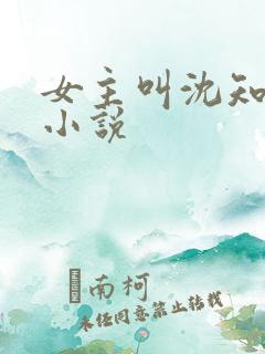 女主叫沈知意的小说