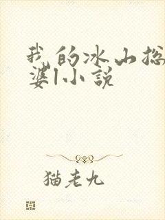 我的冰山总裁老婆l小说