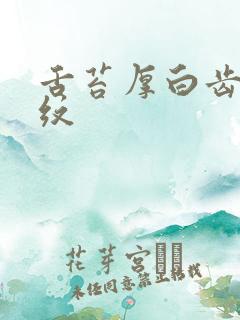 舌苔厚白齿印裂纹