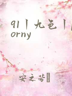 91丨九色丨porny