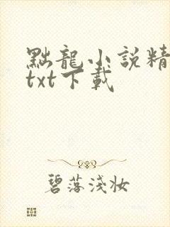 黜龙小说精校版txt下载