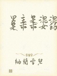 男主是混混女主是乖乖女的小说