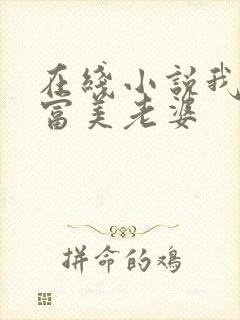 在线小说我的白富美老婆