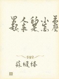 男人的小弟硬不起来是怎么回事