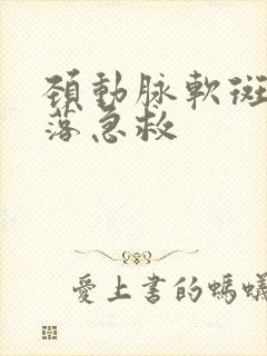 颈动脉软斑块脱落急救