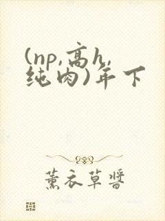 (np,高h,纯肉)年下