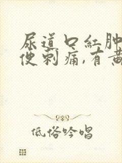 尿道口红肿,小便刺痛,有黄色分泌物