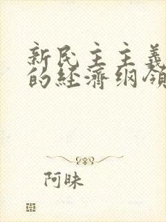 新民主主义革命的经济纲领是( ).