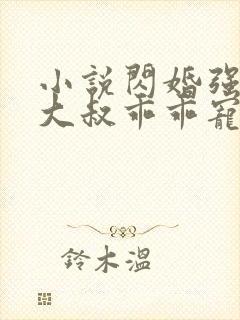 小说闪婚强宠:大叔乖乖宠我