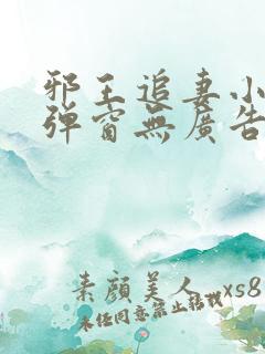 邪王追妻小说无弹窗无广告