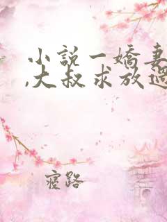 小说一娇妻在上,大叔求放过