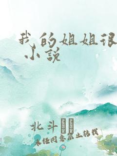 我的姐姐很弟控 小说