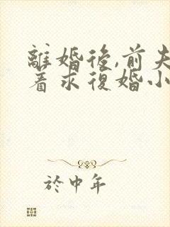 离婚后,前夫哭着求复婚小说正版