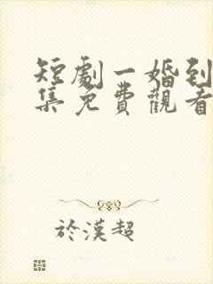 短剧一婚到底全集免费观看