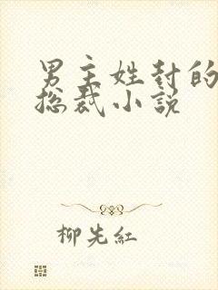 男主姓封的霸道总裁小说