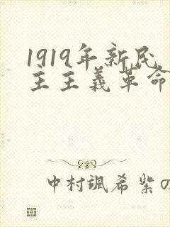 1919年新民主主义革命