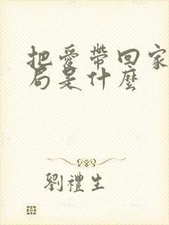 把爱带回家大结局是什么