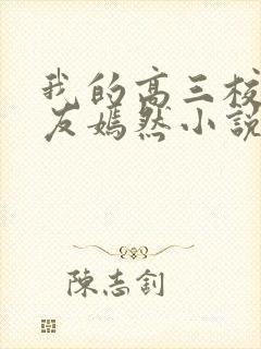 我的高三校花女友嫣然小说