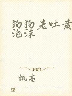 狗狗老吐黄水带泡沫
