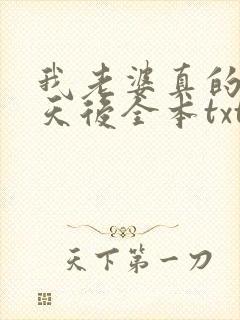 我老婆真的不是天后全本txt下载