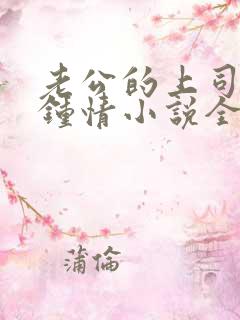 老公的上司一见钟情小说全文免费阅读