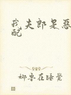 我夫郎是恶毒男配