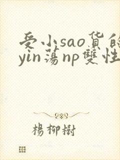 受小sao货的yin荡np双性