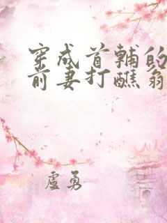 穿成首辅的炮灰前妻打醮翁全文免费