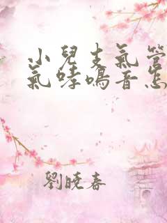 小儿支气管炎喘气哮鸣音怎么办