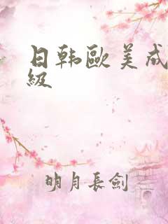 日韩欧美成人一级