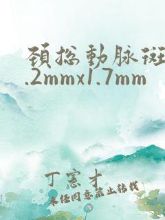 颈总动脉斑块3.2mmx1.7mm