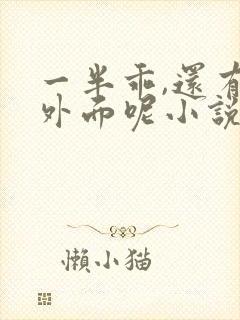 一半乖,还有在外面呢小说双女主