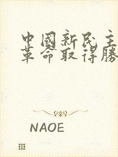 中国新民主主义革命取得胜利的主要原因