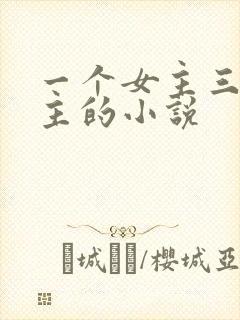 一个女主三个男主的小说