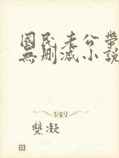 国民老公带回家无删减小说