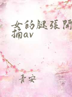 女的腿张开男的捅av