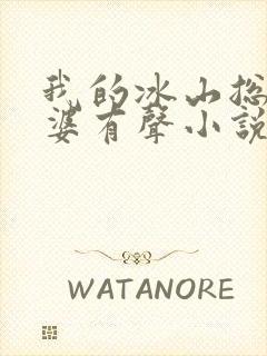 我的冰山总裁老婆有声小说
