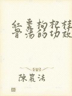 红枣枸杞桂圆排骨汤的功效