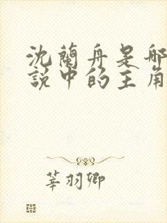 沈兰舟是哪部小说中的主角