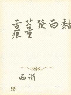 舌苔发白黏腻齿痕重