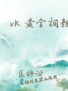 vk 黄金调教